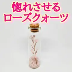 Item thumbnail for item 16fc2486-0866-45f3-88fc-f78c53b6f0bd