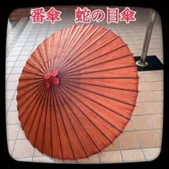 Item thumbnail for item 105cb743-89ab-4d57-a070-196fd344f39a