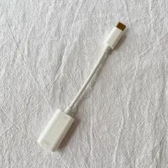 USB-C - Lightningアダプタ ​​​​​​​