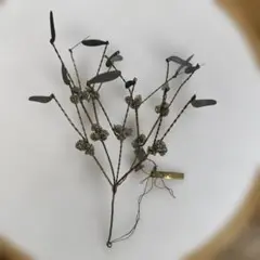 WALTH&CO オーナメント　ウォールデコ　ヤドリギ　宿木
