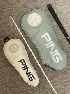 Item thumbnail for item c5c9637e-ba05-40b5-add0-8af20c150d8c