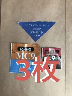 8/13まで 少年チャンピオン ヤングマガジン 沢口愛華 チェキ クオ 応募 3