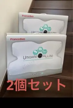フランスベッド　ウミガメピロー 2個セット