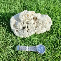 天然　サンゴ　珊瑚礁　白珊瑚　水槽　インテリア