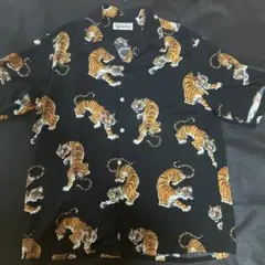 Item thumbnail for item 83a1f028-5b68-441c-9752-bdc896bbce17