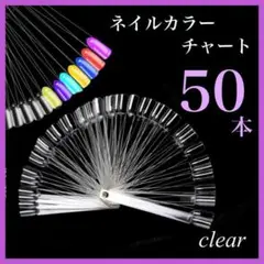 ネイルカラーチャート 50本 クリア スティック ネイル ネイルチャート