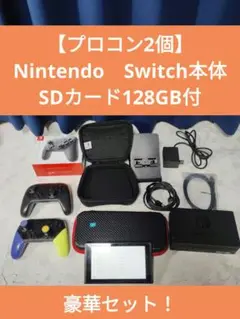 【プロコン2個】　Nintendo　Switch本体　SD128GB　おまけ多数
