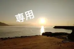 専用、インコさん