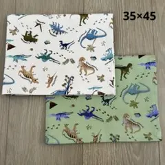 大人気 ランチョンマット 恐竜 35×45 2枚セット 男の子 給食ナフキン