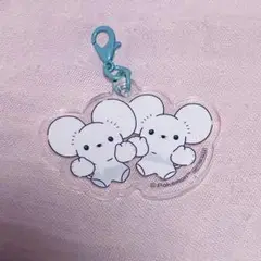 【ポケモン】ワッカネズミ チャーム