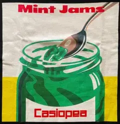 Tシャツ カシオペア MINT JAMS 新品 送料込