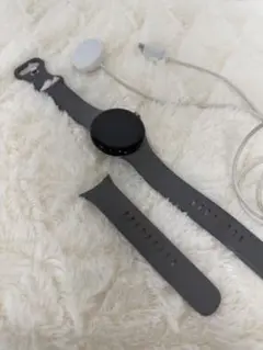 Google Pixel Watch 本体