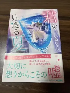 君を見送る夏
