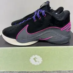 新品 NIKE レブロン 22 トンネルビジョン バスケットシューズ 26