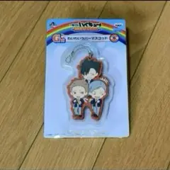 【ハイキュー!!】激闘全力!休息全力! 烏野高校　2個の場合は499円で OK