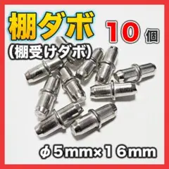 ☆棚ダボ 棚受け 金具 5mm 棚板 家具 カラーボックス だぼ ピン + 10