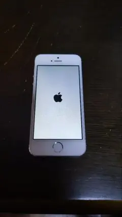 Apple iPhone5s シルバー 16GB A1453