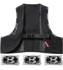 Item thumbnail for item b01613f0-d7fe-477e-858a-3f4171ea28fc