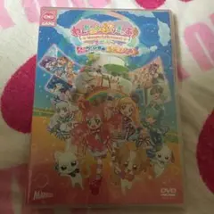 わんだふるぷりきゅあ　ざ・むーびー！　ドキドキ♡ゲームの世界で大冒険！　DVD