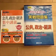 駿台2025入学共通テスト 問題集 旺文社集中講座公共, 政治,経済 2冊セット