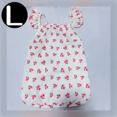 Item thumbnail for item 5251df0c-e31f-46fb-bf40-43032c12ca45