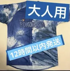 スターナイト 横浜 2025 大人用 ユニフォーム ユニホーム