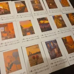 手書きサンキューカードサンクスカード【フォトオレンジ】49枚