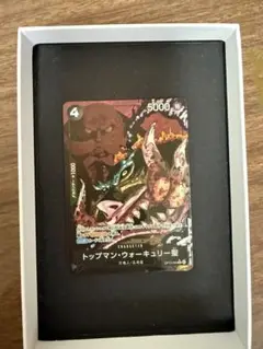 ONE PIECE トップマン・ウォーキリー聖