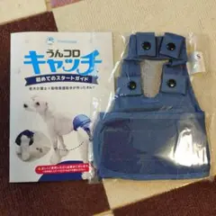 Item thumbnail for item ca8f5e28-15f5-4160-91e7-5ed3e6e42537