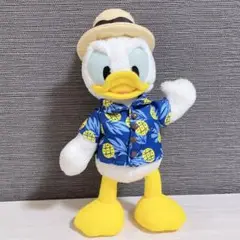 ドナルドダック・デイジーダック ぬいぐるみセット　ポージープラッシー Amazon.co.jp: ドナルド（ドナルドダック）ポージープラッシー