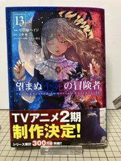 望まぬ不死の冒険者 13