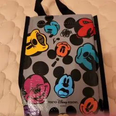 ミッキーマウスレジャーシート