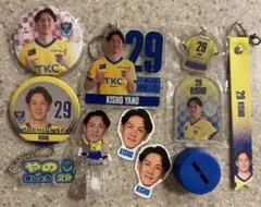 栃木SC 2025 NO.29 矢野選手グッズセット