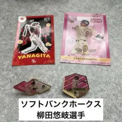 【匿名】柳田悠岐選手　タカコレカード　ピンクフルデー　ピンバッジ　鷹祭　2025