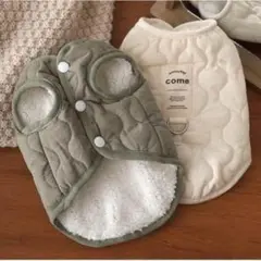 Item thumbnail for item c3e96010-ae3e-4e59-8fcd-722975715eac