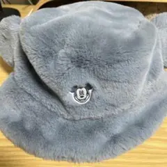ディズニー ミッキー バケハ