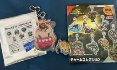 ジュラシック・ワールド 復活の大地 アクリルキーチェーン、チャームコレクション
