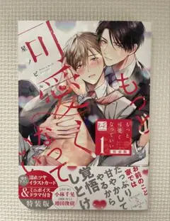 もっと可愛くなっていい 1 特装版