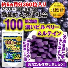 100倍濃縮 濃いビルベリー &ルテイン +コンドロイチン サプリ