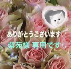 専用出品ですので ご購入はお控え下さいませ