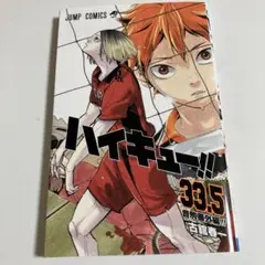 ハイキュー‼︎　劇場版ゴミ捨て場の決戦　33.5巻