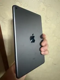 iPad mini5 256GB wifi+SIM