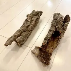 Item thumbnail for item f5145dbc-eb73-4380-a6f7-3587278ab60b