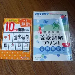 陰山メソッド　徹底反復 文章読解プリント。10分間復習ドリル 漢字 語句