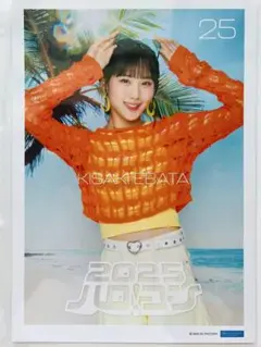 江端妃咲 ハロコン2025 ピンポス