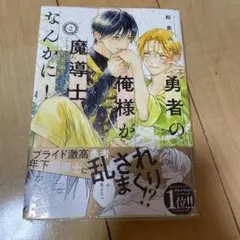 勇者の俺様が魔導士なんかに！