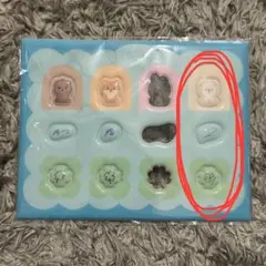 ドウン ライトバンド カスタムセット