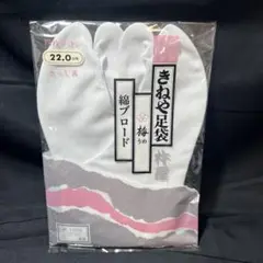 Item thumbnail for item ad6c0bab-26c5-4168-b778-e5df520c35bf