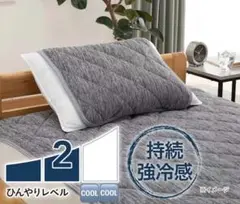 【新品】カインズ もっとひんやり長続き 消臭 リバーシブルまくらパッド