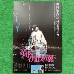 2025年最新】翔べイカロスの翼 さだまさし主演の人気アイテム